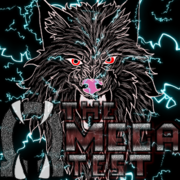 The Omega Test