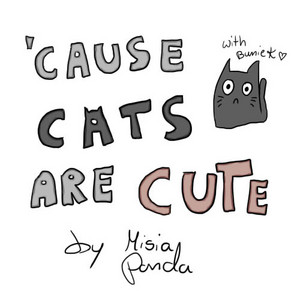 #1 - because cats are cute