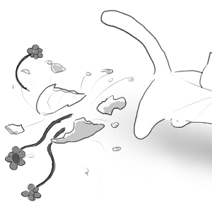 BREAKING NEWS! -  Miranda (Lombardy, Italy)