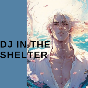 DJ in the Shelter