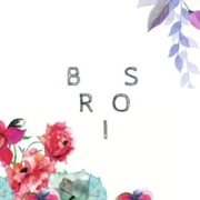 BRIOS (Eng)