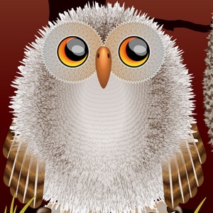 Owlet