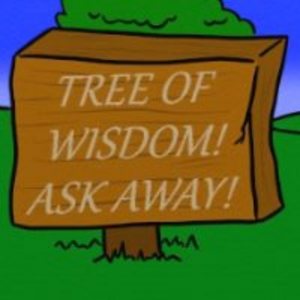 The Sign Says Wisdom... But What Do Signs Know