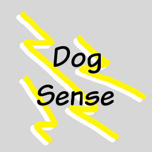 12. Dog Sense