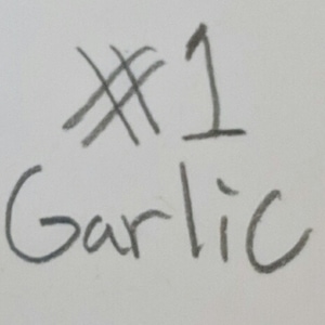 Growing Experiment #1 Garlic