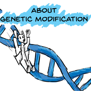about Genetic Modification