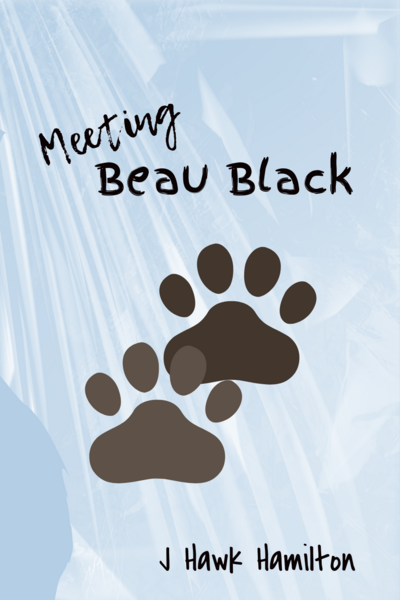 Meeting Beau Black