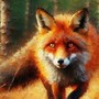 Candor the Fox