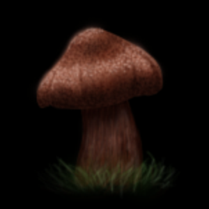 Cortinarius Rubellus