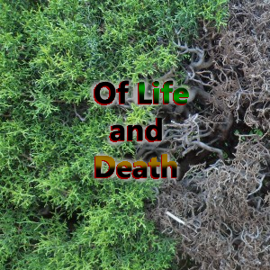 Of Life and Death