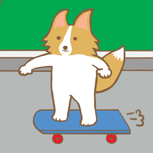  skateboard 