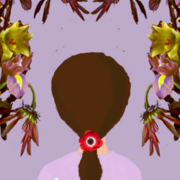 Anemone