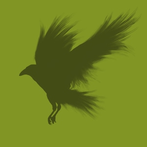 A Crow to the West