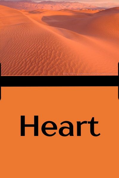 Heart