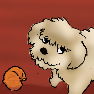 Sophia and other crazy things 