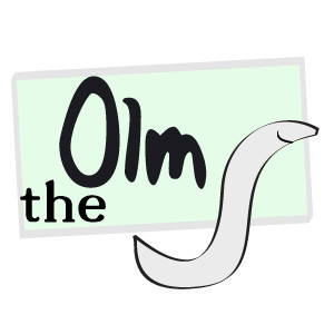The Olm 11/08