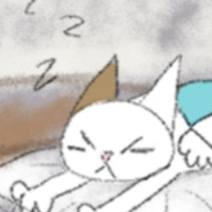 A day in the life of Angry Kat