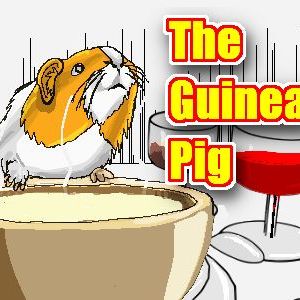 #8 The Guinea PIg