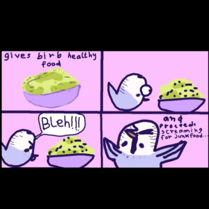 Birds hate veggies :(