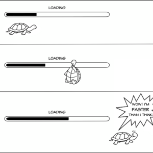 Internet Connection VS Turtle. Who won?