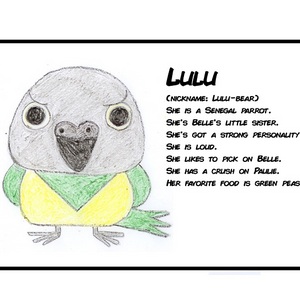 Lulu's Intro