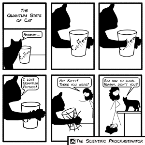 The Quantum State of Cat