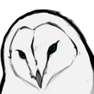 The Owl's Omen