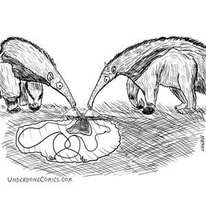 Ant Evasive Maneuvers 