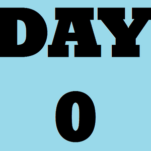 Day 0