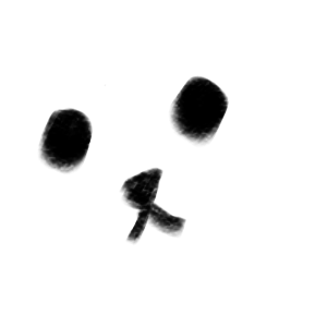 A little bit of kindness