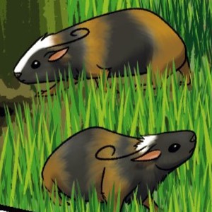 Issue 1 page 7