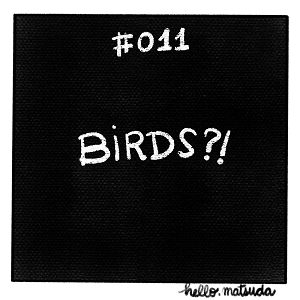 Birds?!