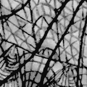 Chapter 2 - Make it double