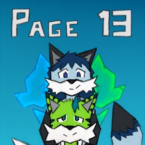 Page 13