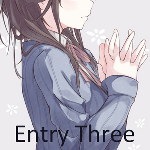 Entry 3