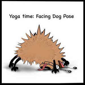 The pose of today- Facing dog. Facing the floor. Facing inflexibility.