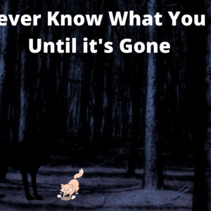 Storm of Regret Part 17