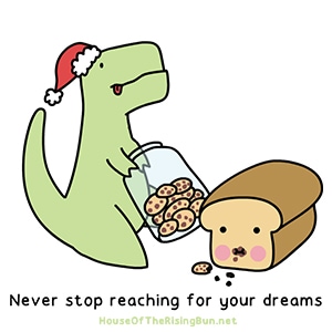 Never stop reaching for your dreams!