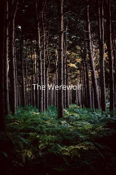 The Werewolf 