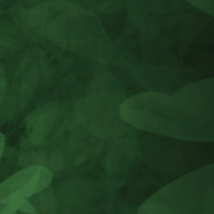 Need for Steed [2/6]