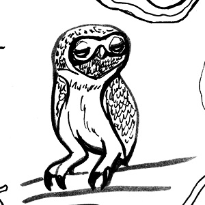 Art School Owl