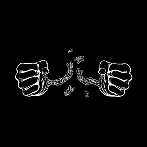 Chapter 2 - The Chain