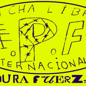 lucha libre A.P.F internacional 