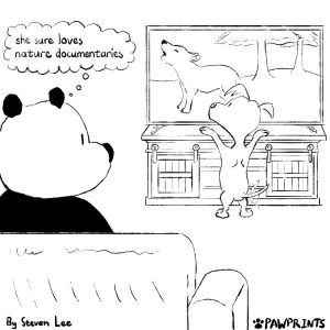 Nature Documentaries