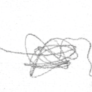 Unpredictable Scribble