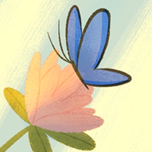 Vol 2 Pages 25 - 28