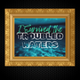 I Survived the Troubled Waters