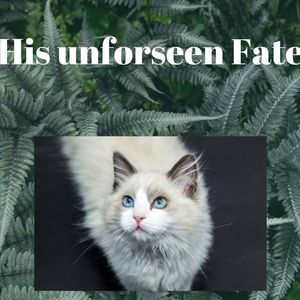 ~*His Unforeseen Fate~*