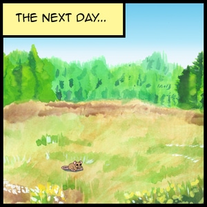 The Next Day