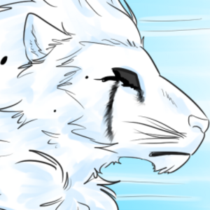 Important Announcement